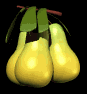 pears_rocking_tree_mb.gif