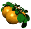 orange_bobbing_tree_sw.gif