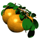 orange_bobbing_tree_mw.gif