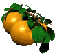 orange_bobbing_tree_mc.gif