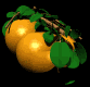 orange_bobbing_tree_mb.gif