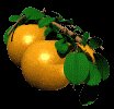orange_bobbing_tree_lc.gif