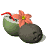 coconut_drink_tw.gif