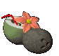 coconut_drink_sc.gif
