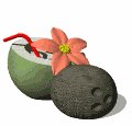coconut_drink_mw.gif