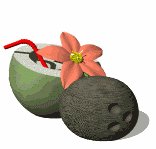 coconut_drink_lw.gif