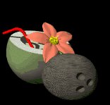 coconut_drink_lc.gif