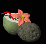 coconut_drink_lb.gif