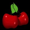 cherries_rocking_mb.gif