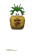 cartoon_pineapple_bou_a_tw.gif