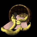 basket_of_bananas_lc.gif