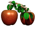 apples_bouncing_tree_sw.gif
