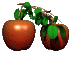 apples_bouncing_tree_sc.gif