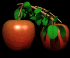 apples_bouncing_tree_sb.gif