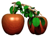 apples_bouncing_tree_mw.gif