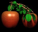 apples_bouncing_tree_lb.gif