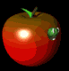 apple_worm_peek_mb.gif