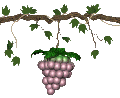 grapes_ripen_swing_mc.gif