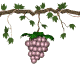 grapes_purple_swing_sw.gif