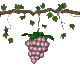 grapes_purple_swing_sc.gif
