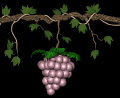 grapes_purple_swing_mb.gif