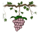 grapes_purple_single_sw.gif