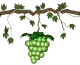 grapes_green_swing_sw.gif
