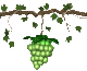 grapes_green_swing_sc.gif
