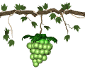 grapes_green_swing_mw.gif