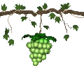 grapes_green_swing_mc.gif