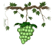 grapes_green_single_sw.gif