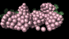 bunch_of_grapes_sb.gif