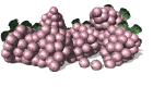 bunch_of_grapes_mw.gif