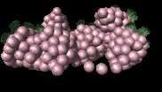 bunch_of_grapes_lc.gif