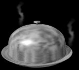 serving_tray_steam_lb.gif