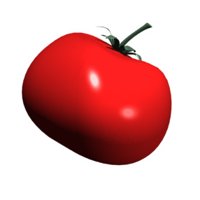 tomato_vegetable_show_a_hr.jpg