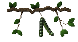 peapod_swing_mc.gif
