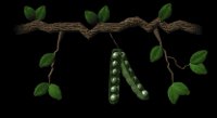 peapod_swing_lb.gif
