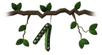 peapod_swing_hr.jpg