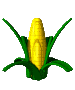 corn_jump_mc.gif