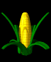 corn_jump_mb.gif