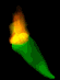 chili_pepper_hot_sb.gif
