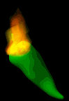 chili_pepper_hot_lb.gif