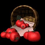 basket_of_tomatoes_lc.gif