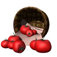 basket_of_tomatoes_hr.jpg