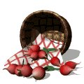 basket_of_radishes_mw.gif