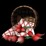 basket_of_radishes_lb.gif