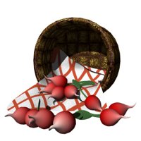 basket_of_radishes_hr.jpg