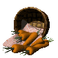 basket_of_carrots_sc.gif