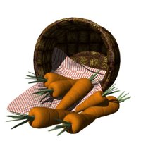 basket_of_carrots_hr.jpg